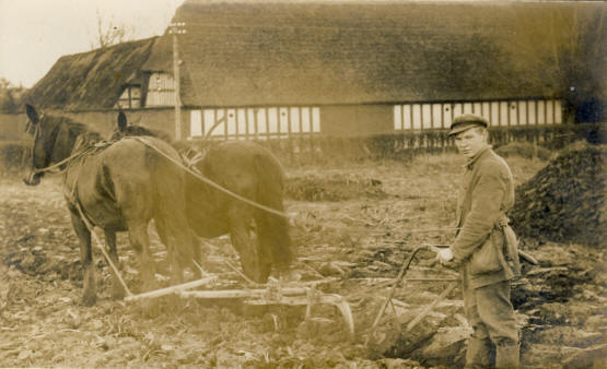 Hans Hvid, karl hos Niels Nielsen, pløjer ca. 1915. Skærup Østergård
